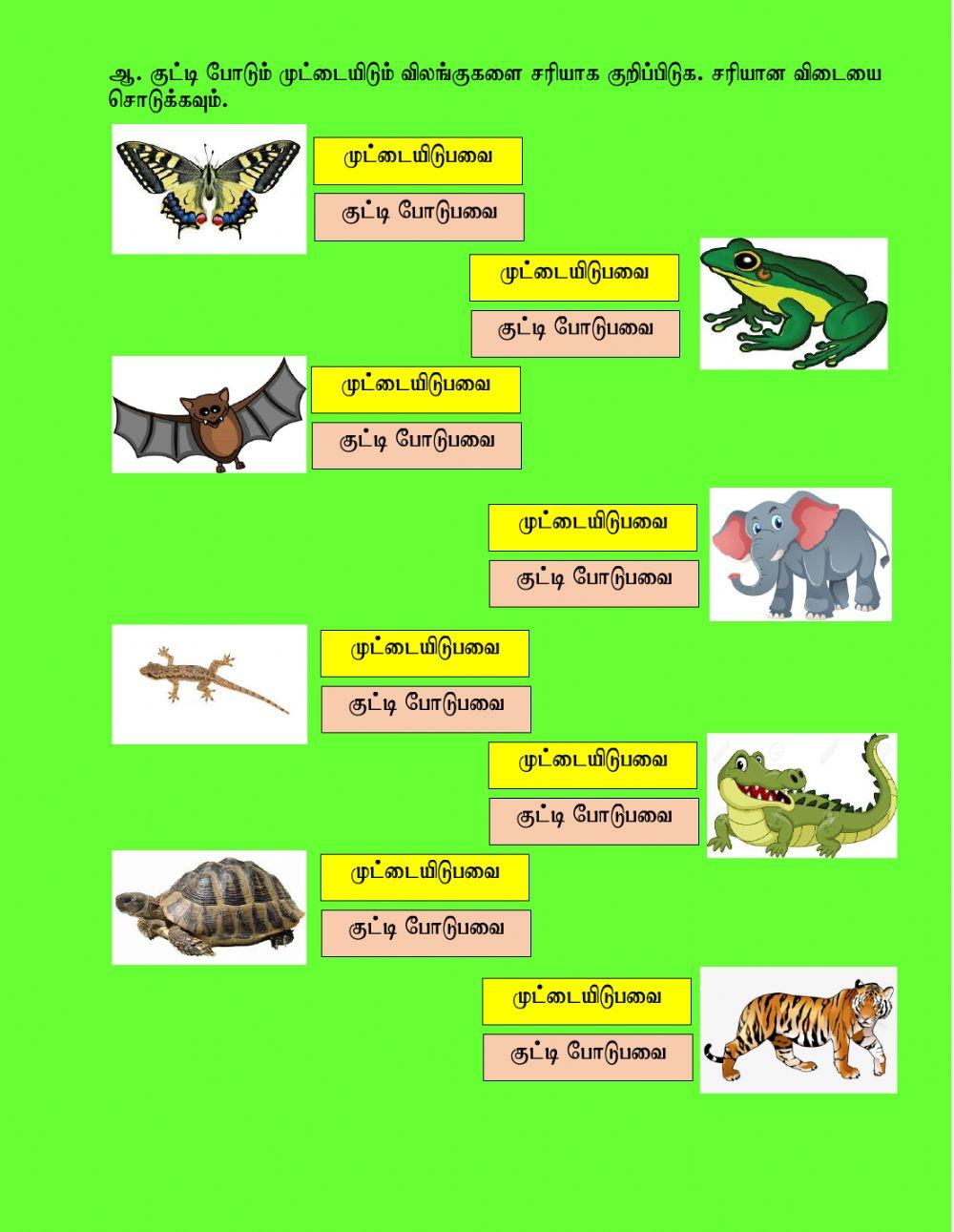 அறிவியல் ஆண்டு 3 (த.பன்னீர் செல்வம்)