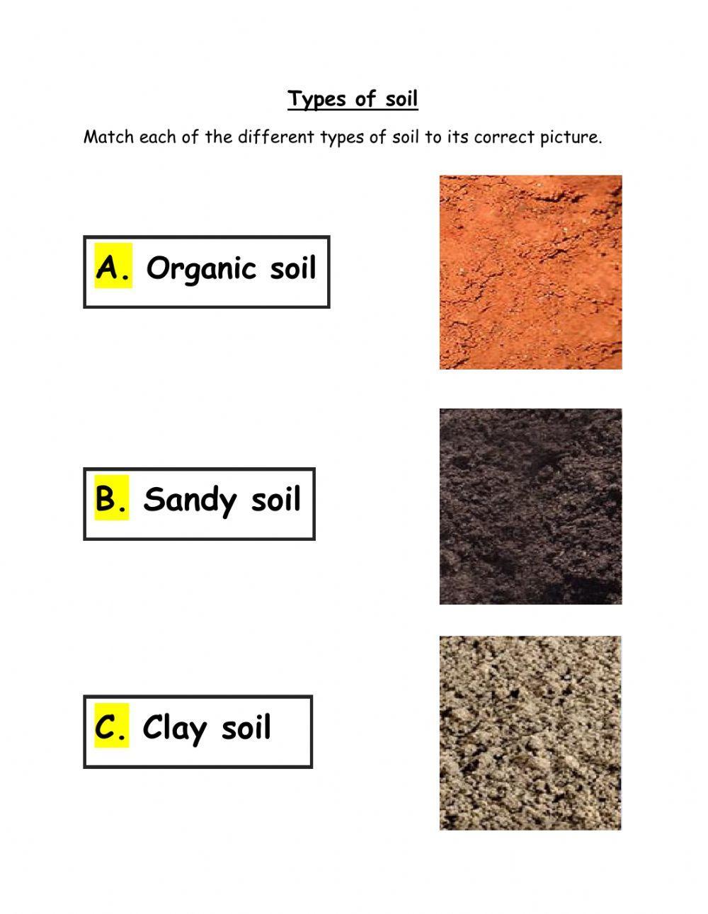 types of soil worksheet pdf