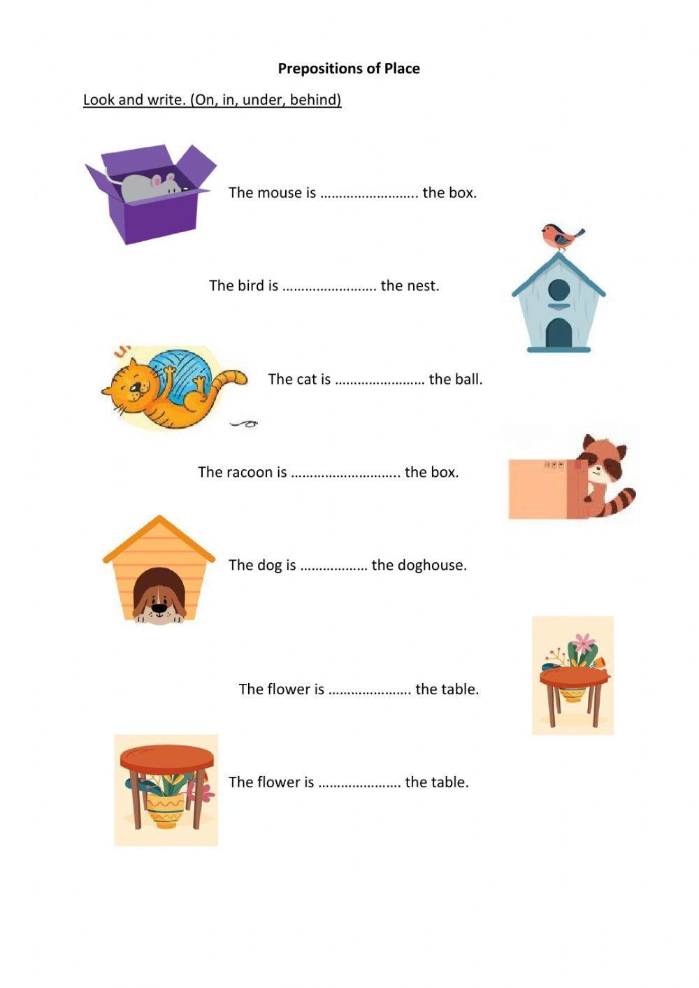 Prepositions of Place (in, under, behind, on)