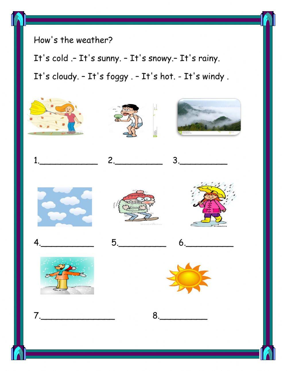 Seasons and Weather Exercises worksheet | Live Worksheets