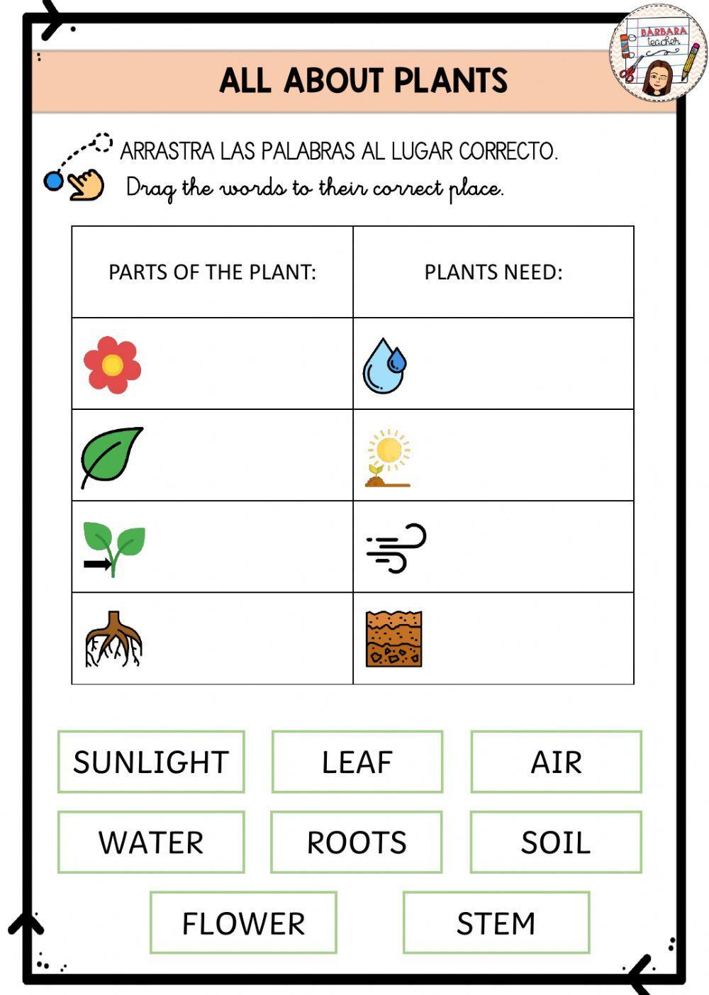 Plants parts and needs