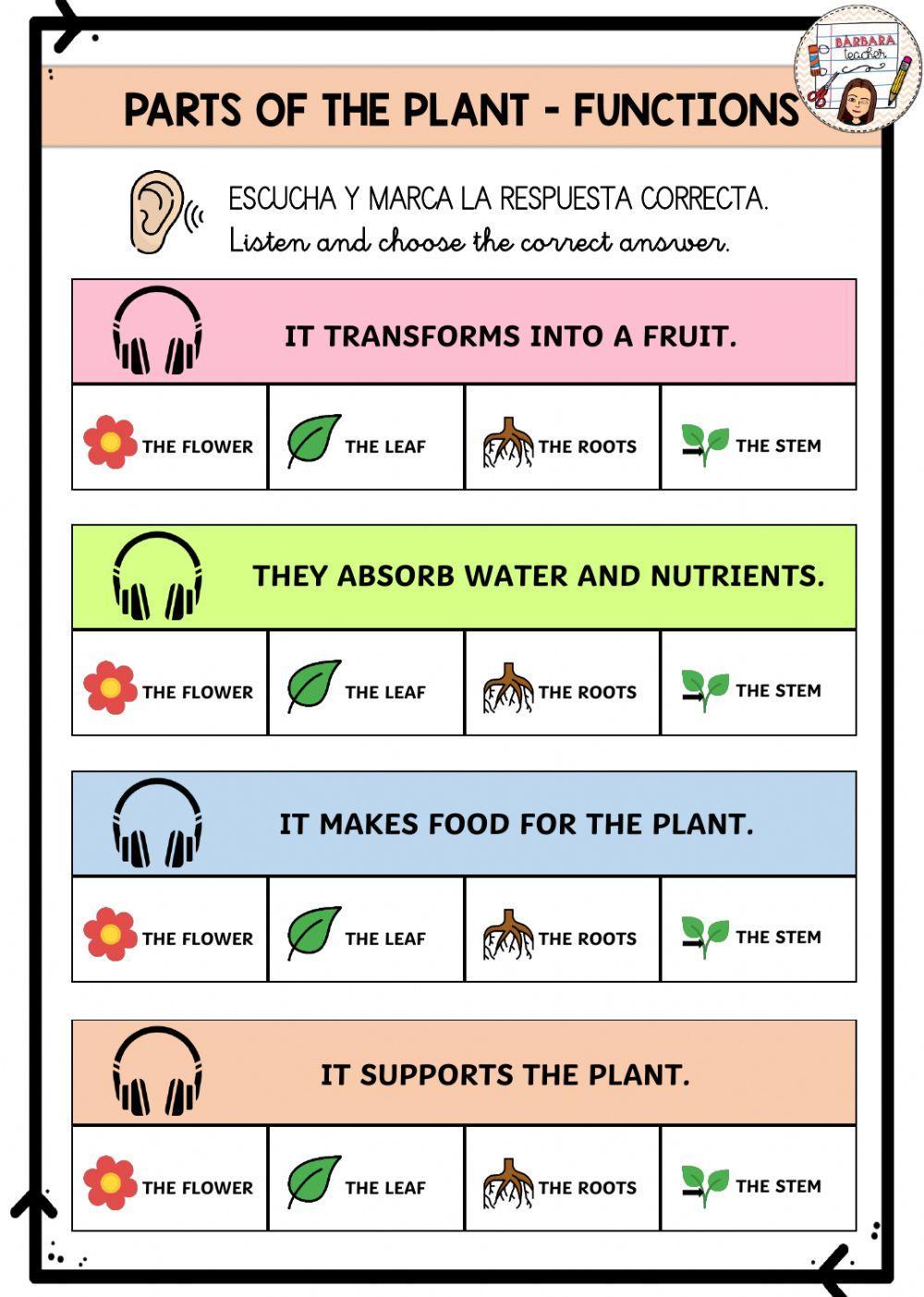 Part of the plant functions Part of the plant functions
