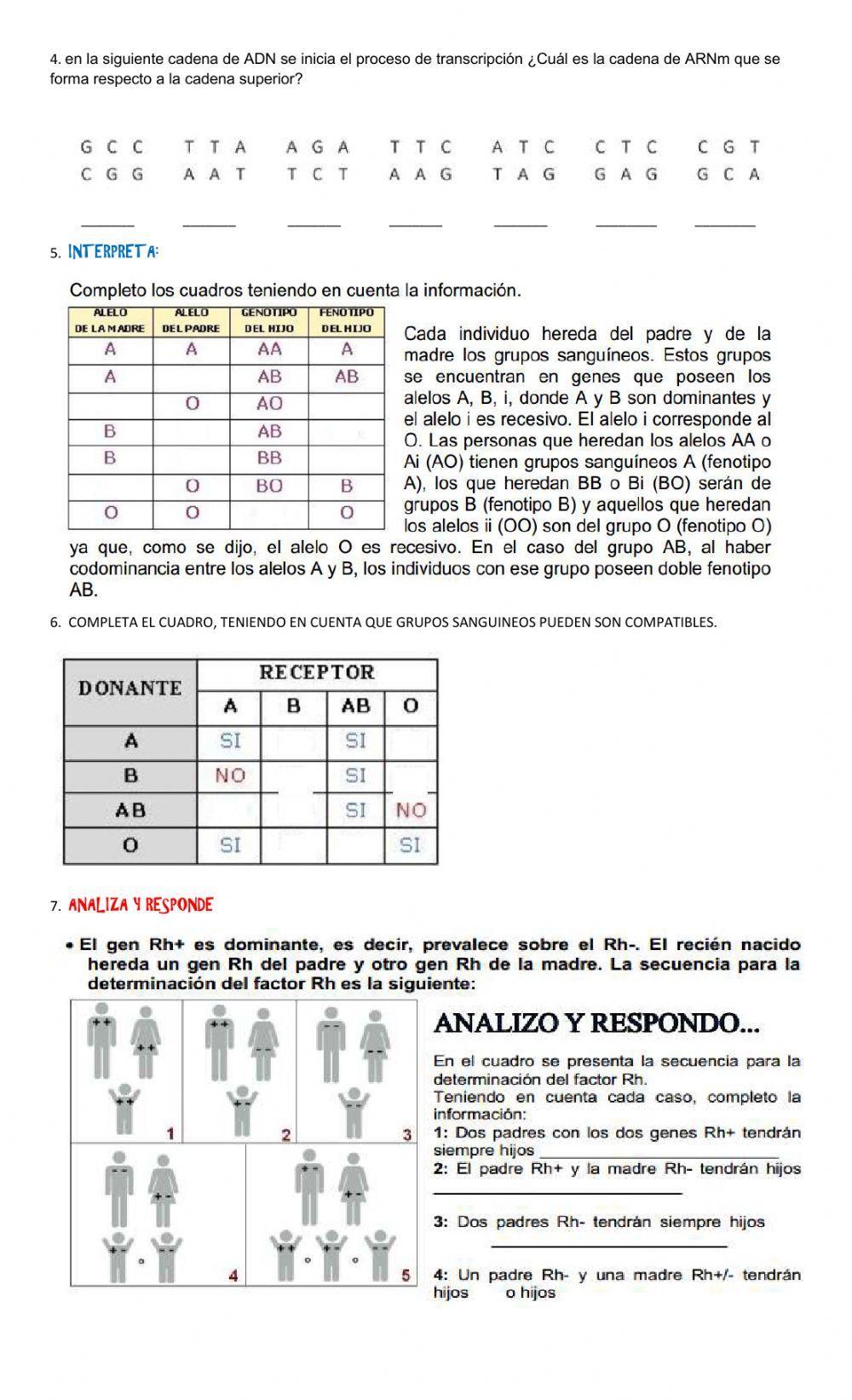 grupos sanguíneos y información hereditaria