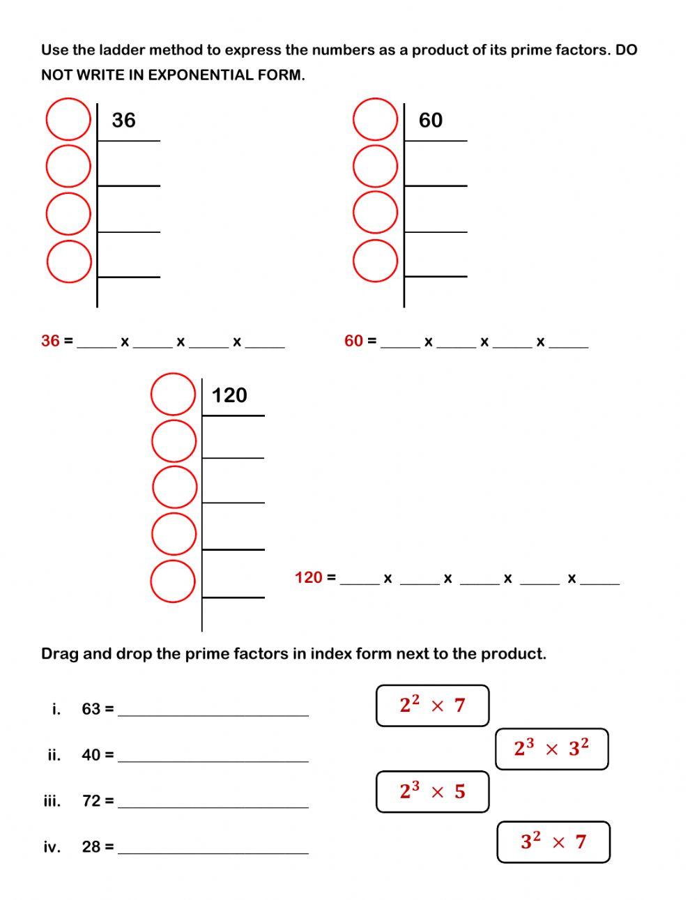 Prime Factorization