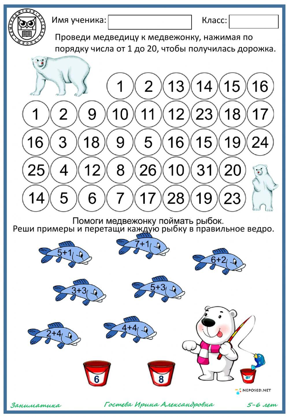 Белые медведи