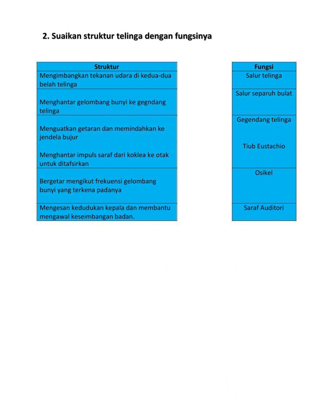 Sains Tingkatan 3 (Tajuk : Telinga)