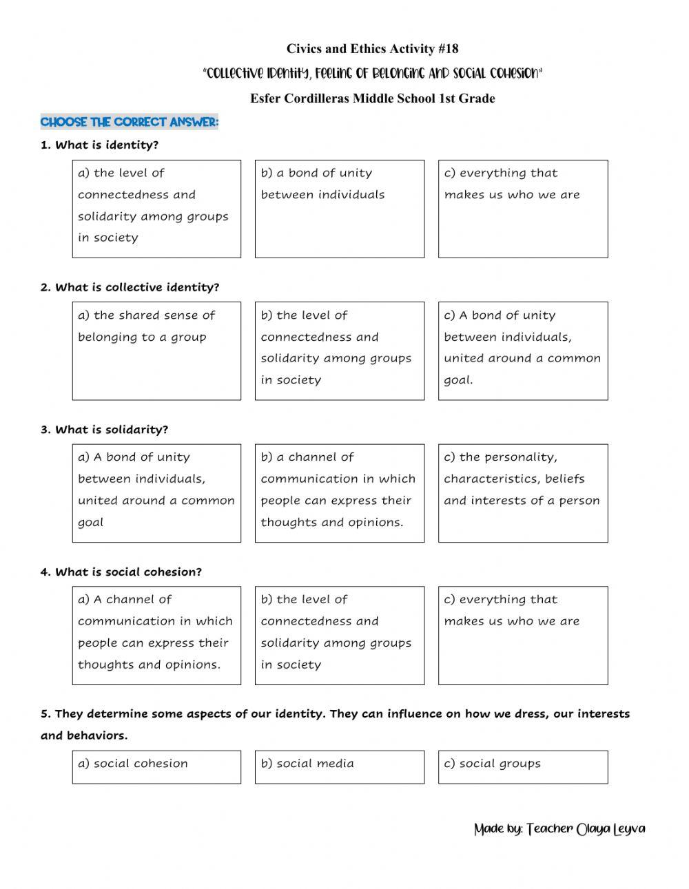 Collective Identity, Feeling of Belonging and Social Cohesion