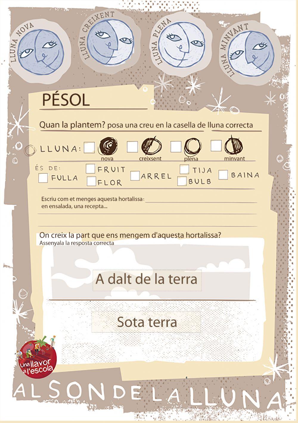 Hort Cultivant amb la lluna PÉSOL