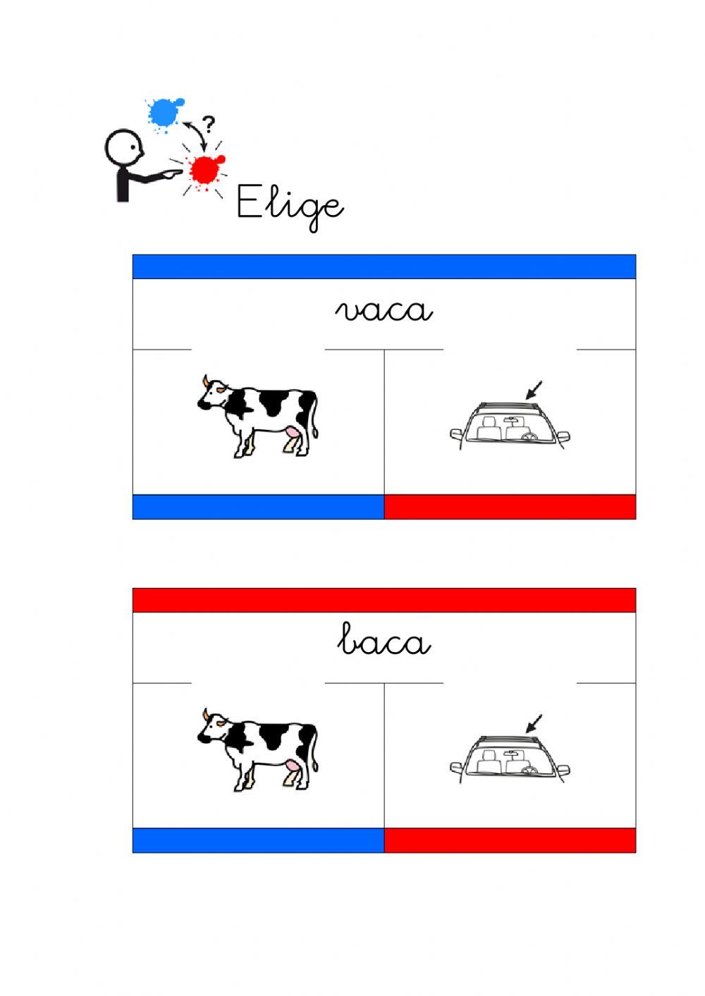 Palabras homófonas. (color)