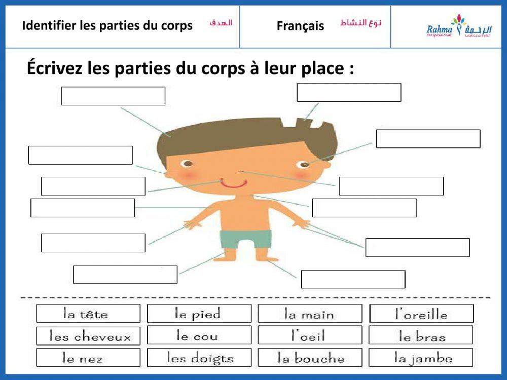 Les parties du corps
