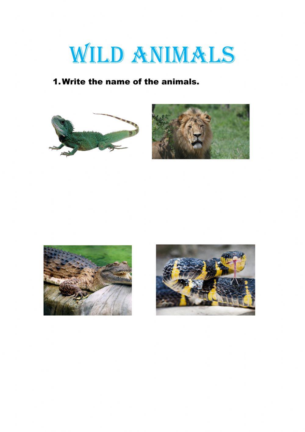 Wild animals