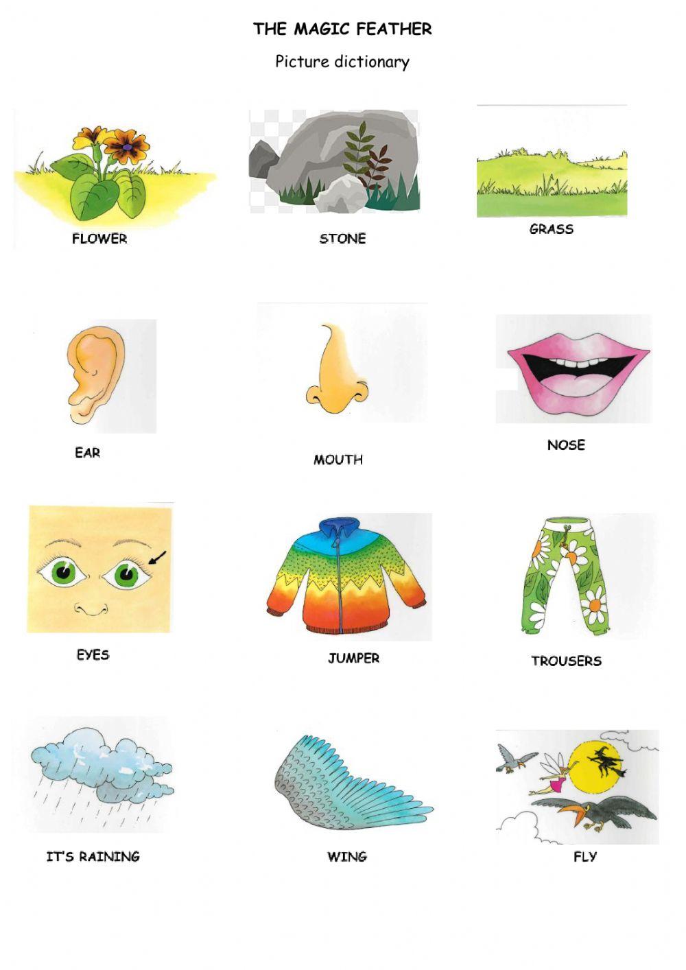 The magic feather dictionary