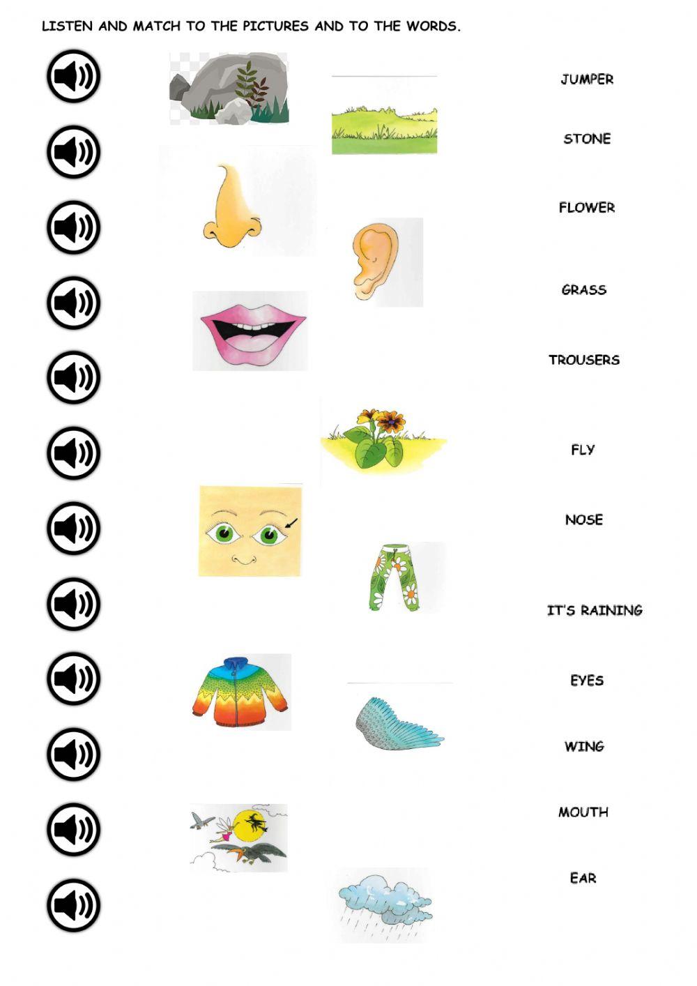 The magic feather dictionary