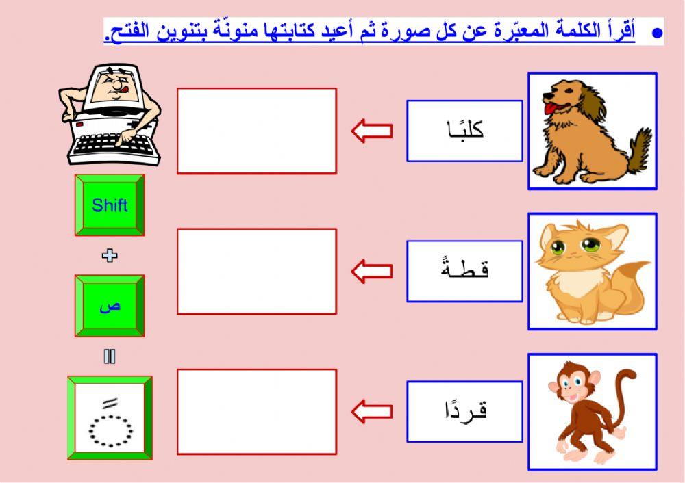 صحة الرسم الهجائي - التنوين بالفتح (٤)