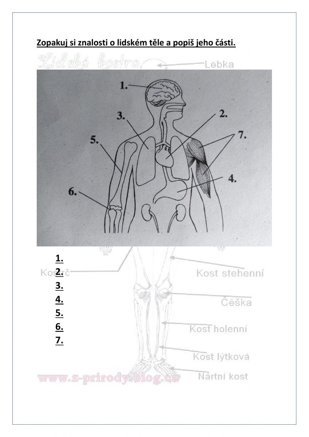 Člověk a jeho zdraví