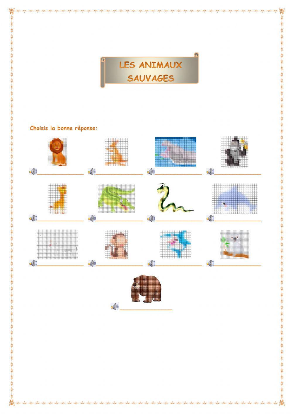 Les animaux sauvages -  escoge la respuesta correcta