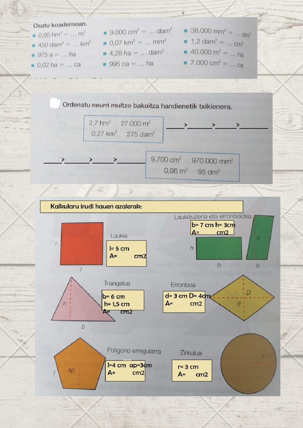 Magnitudeak eta azalera 2