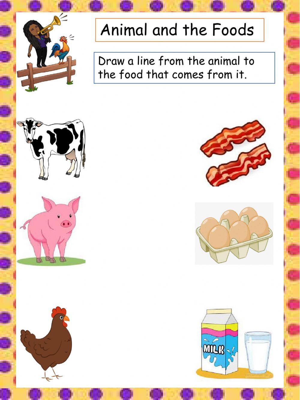 Animal and foods Animal and foods