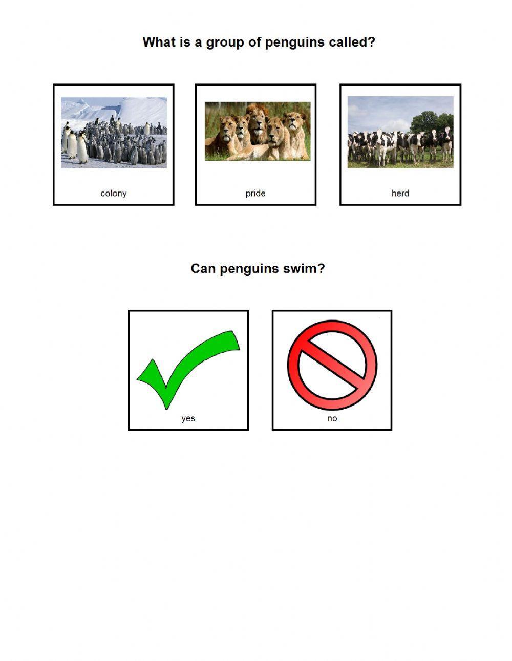 Explore My World Penguins