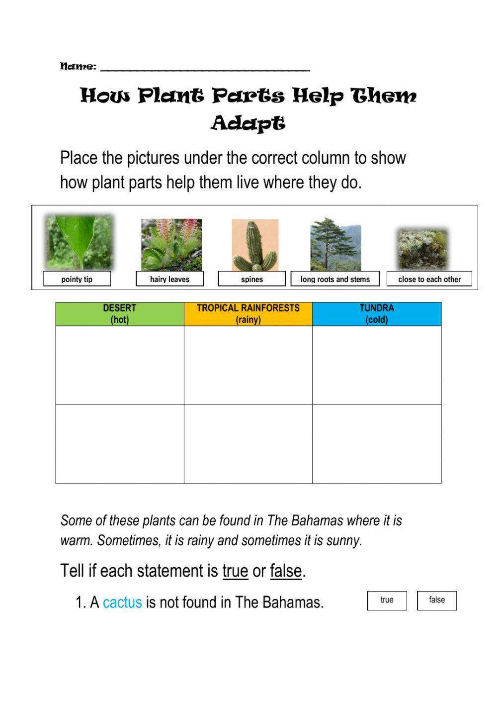 How Plants Adapt