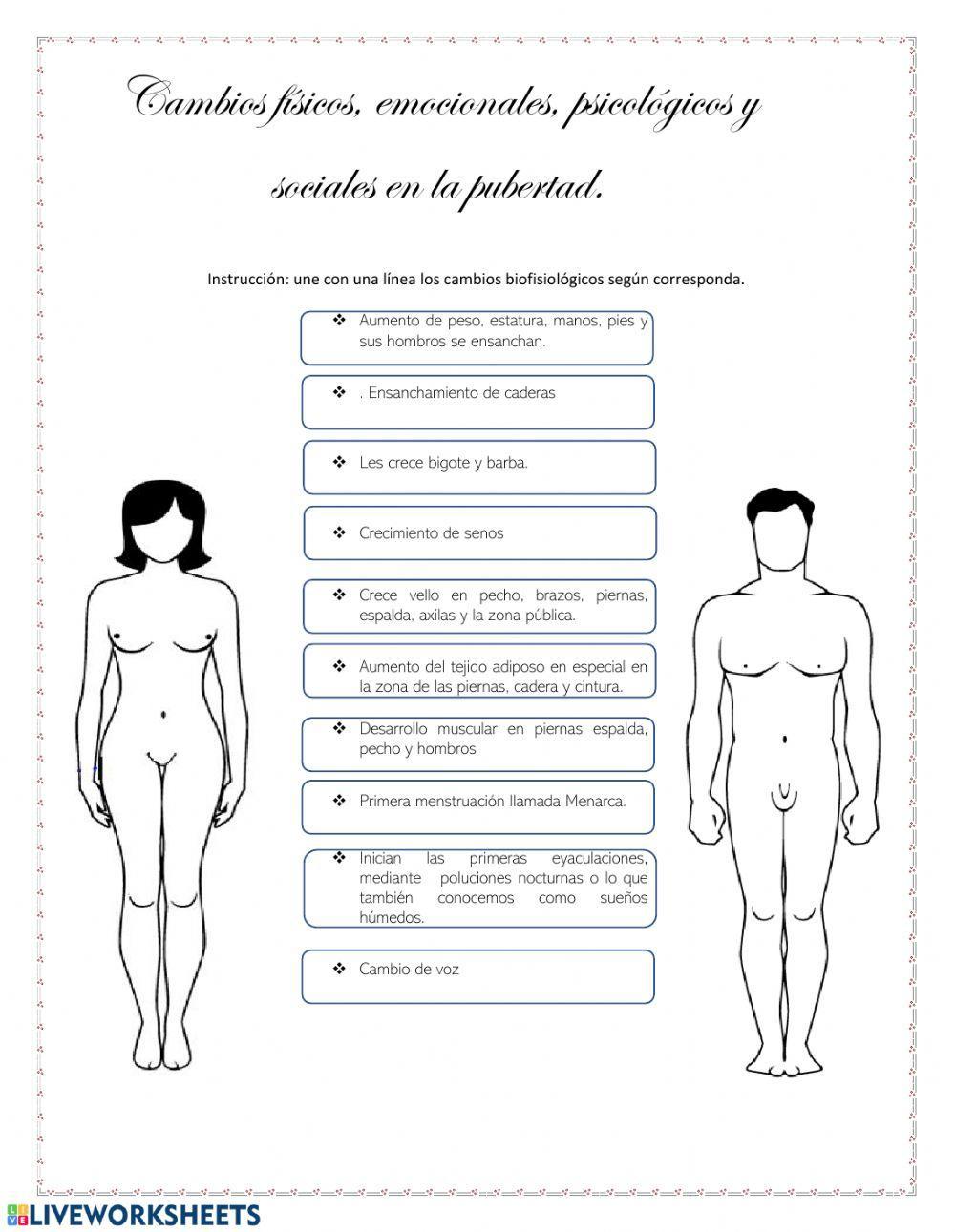 Cambios En la adolescencia