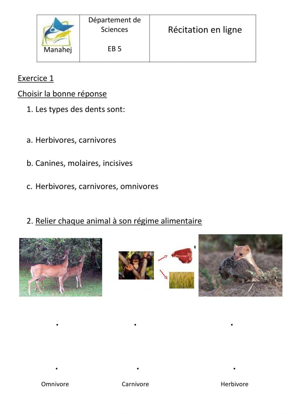 Le Régime Alimentaire Des Animaux La dentition et le régime alimentaires des animaux worksheet | Live  Worksheets