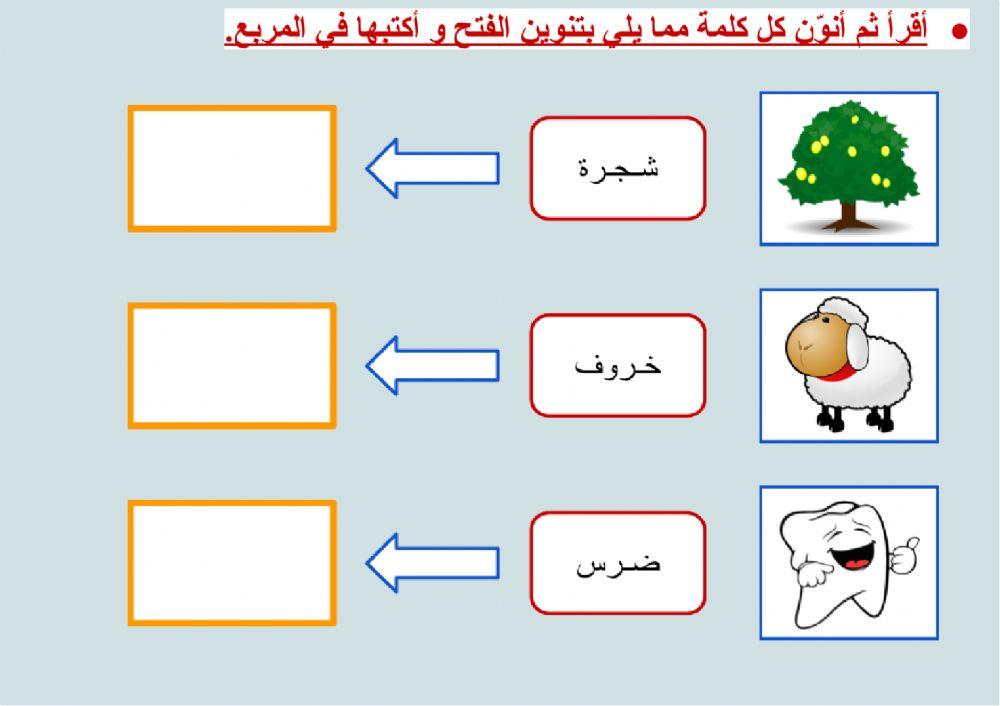 صحة الرسم الهجائي - التنوين بالفتح (٦)