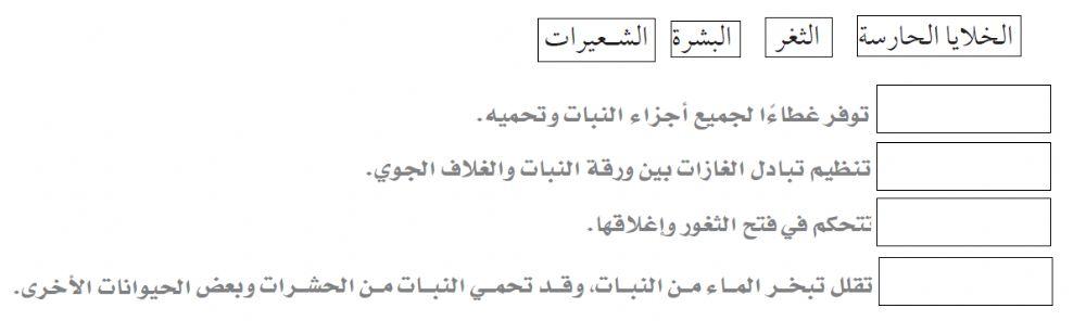 الانسجة النباتية