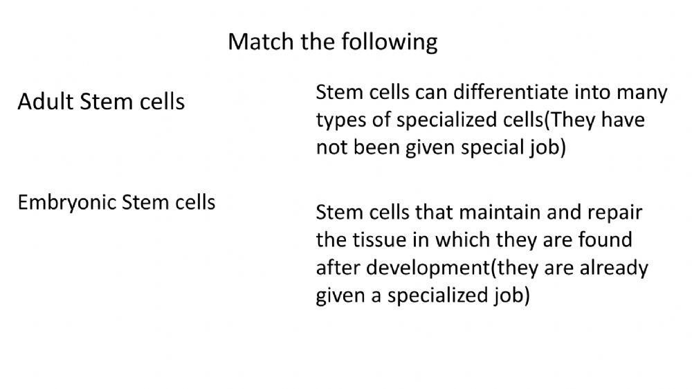 Stem Cell