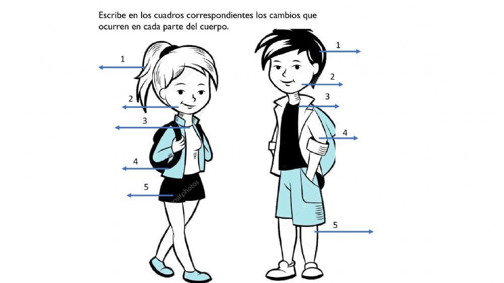 Cambios En la adolescencia