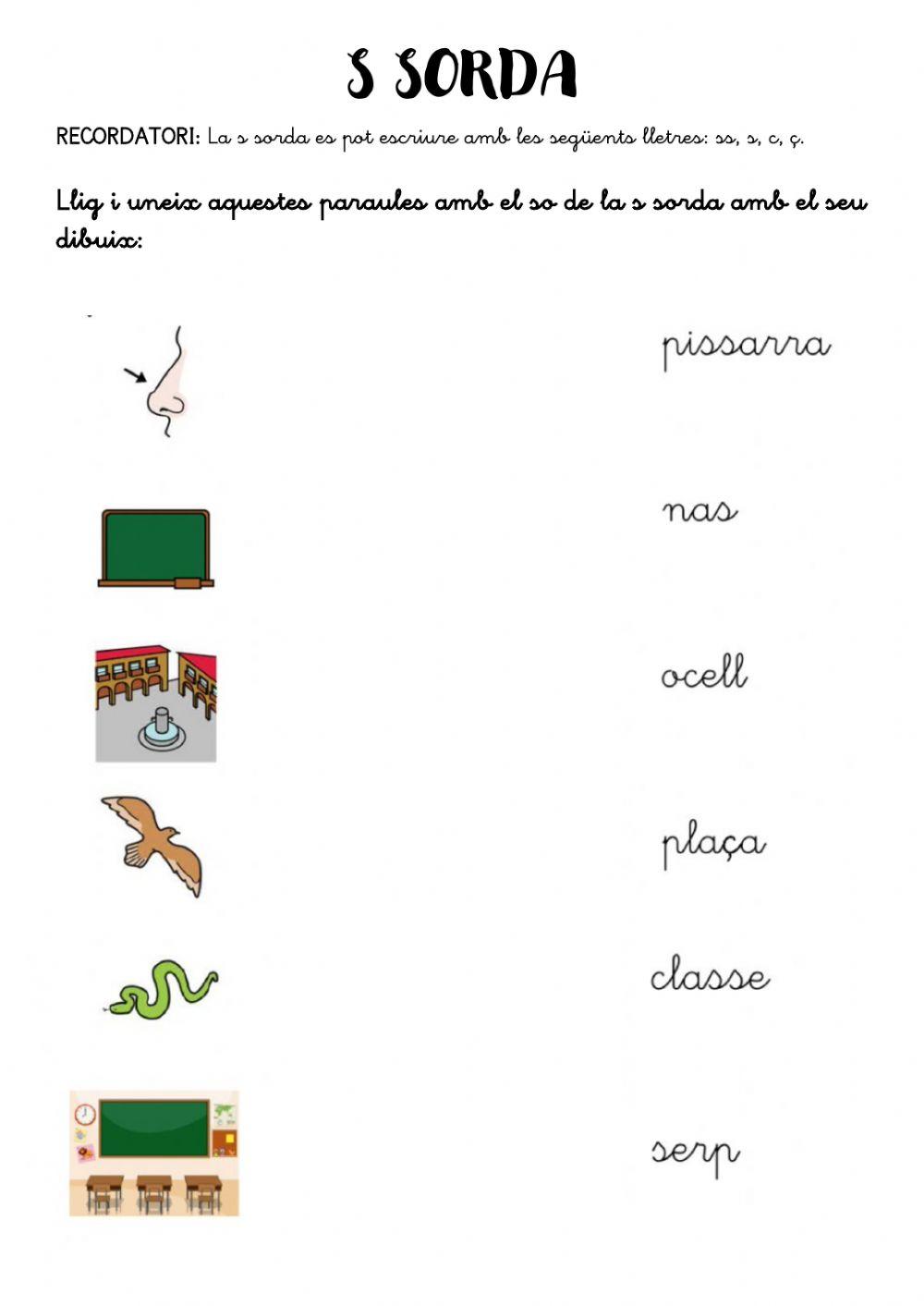 Paraules polisèmiques, possessius i la s sorda