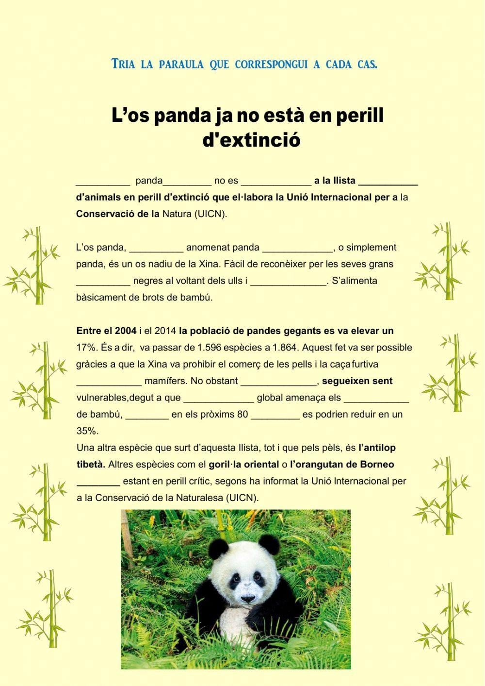 Ortografia: os panda