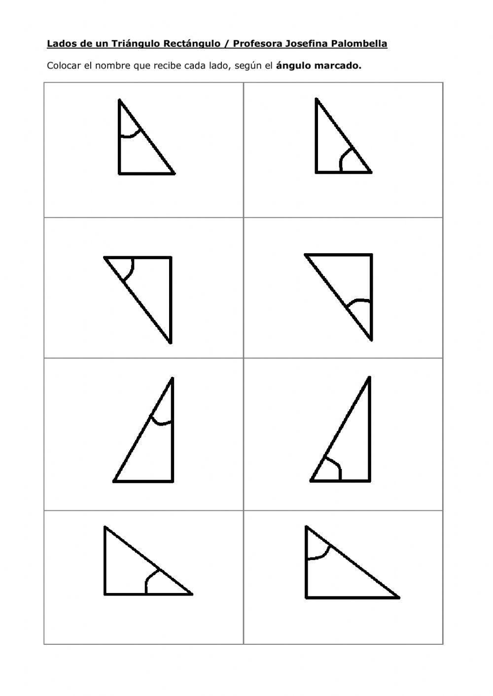 Triangulo Rectangulo