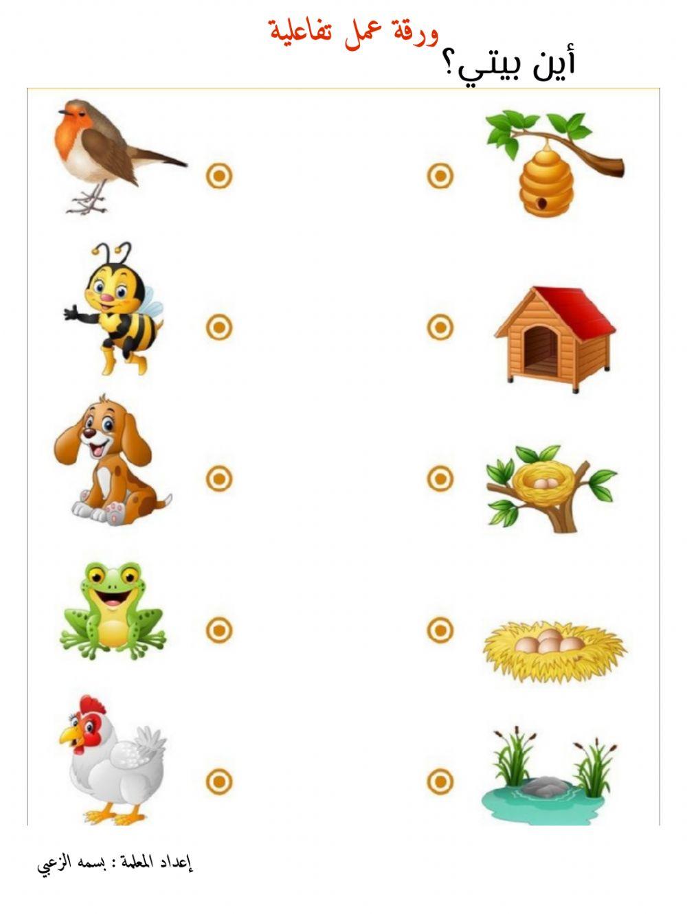 بيت الحيوان