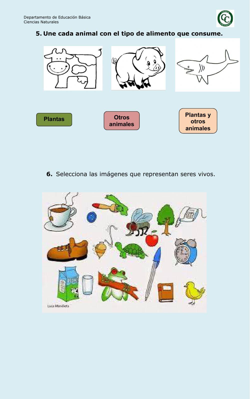 Diagnóstico naturales 1