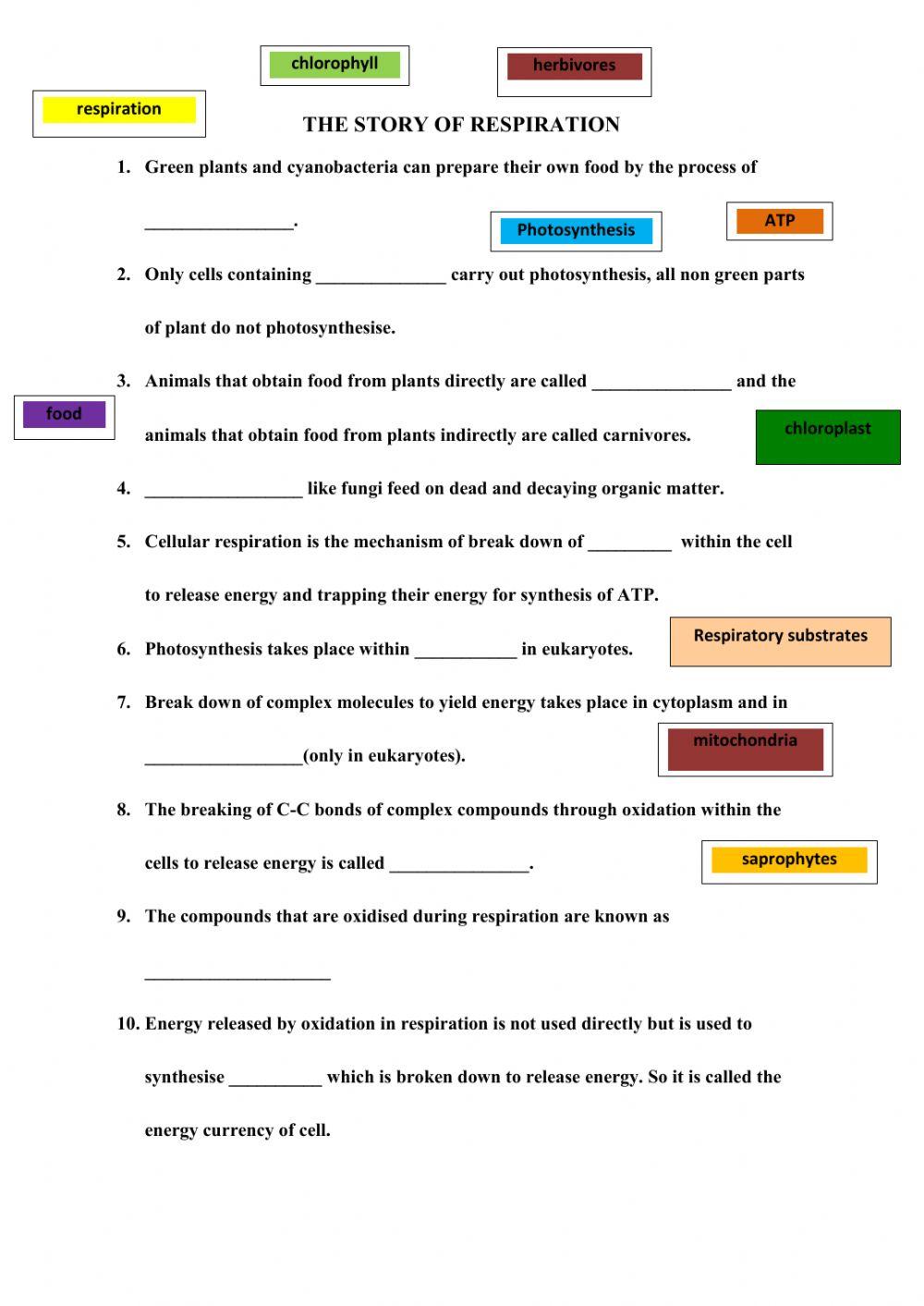 The story of Respiration