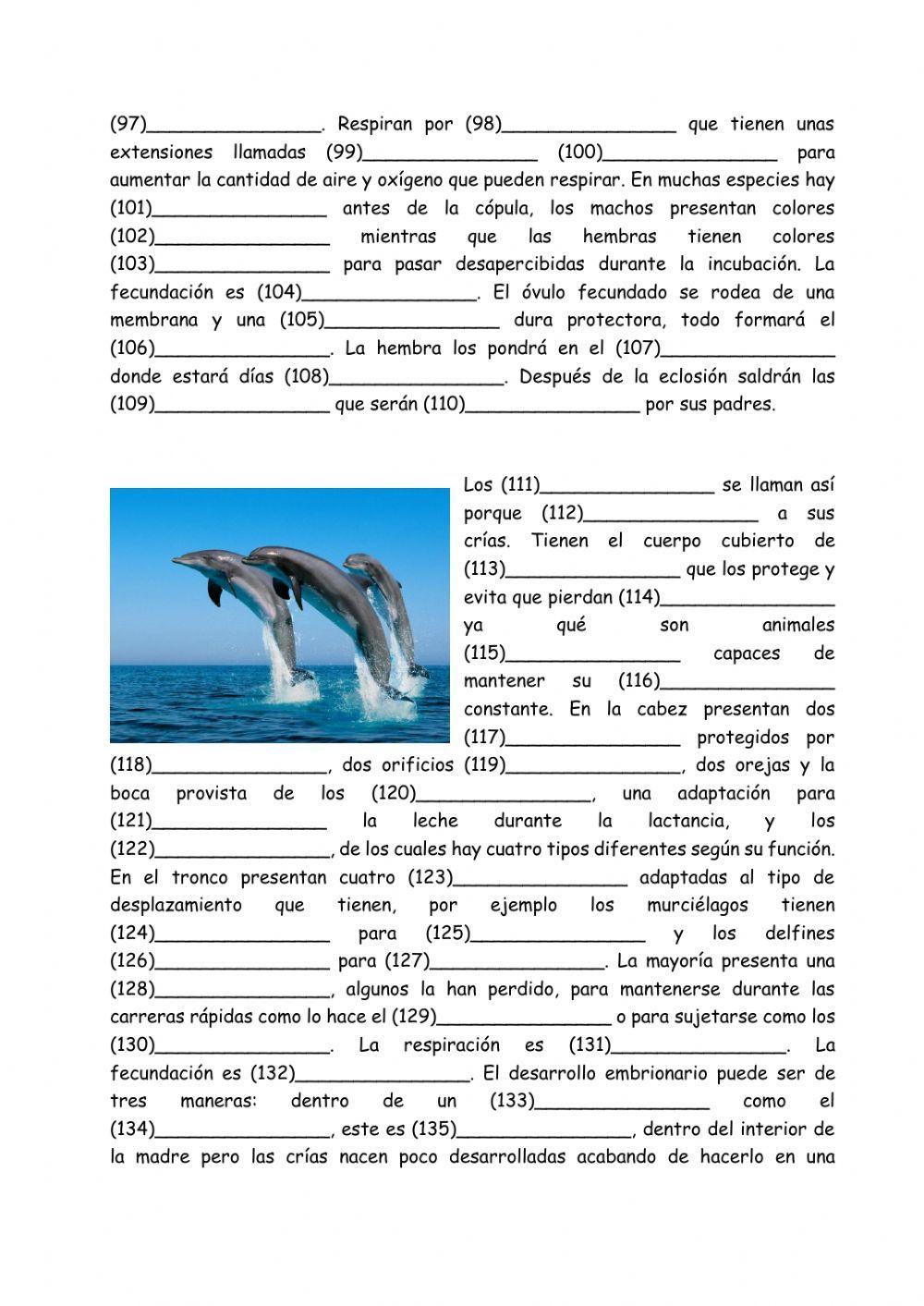 Animales vertebrados