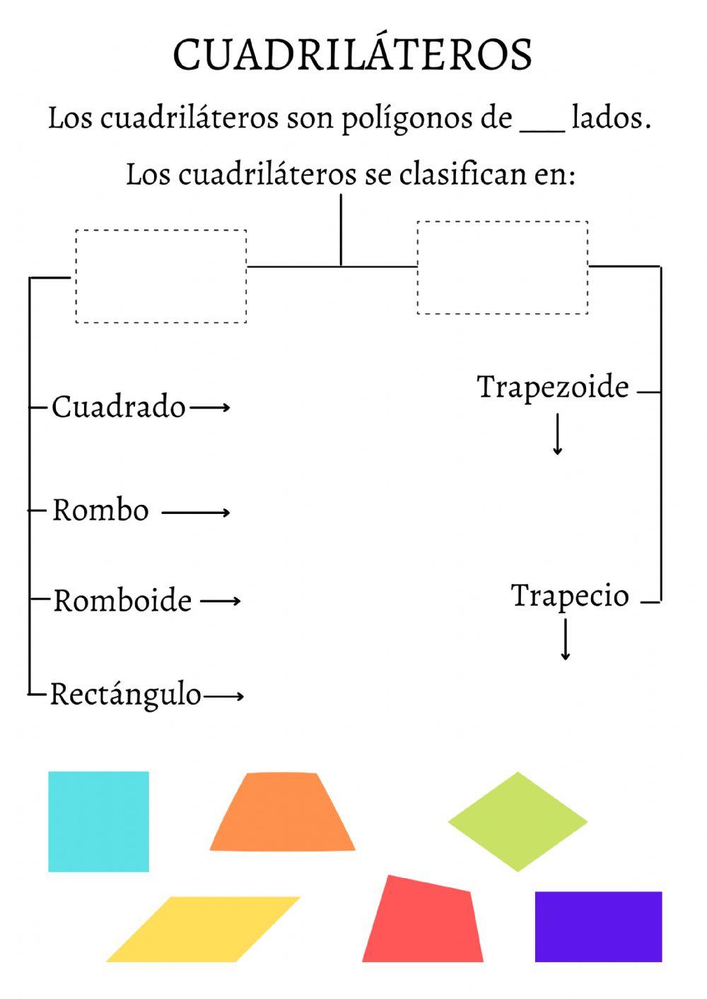 Clasificación de cuadriláteros