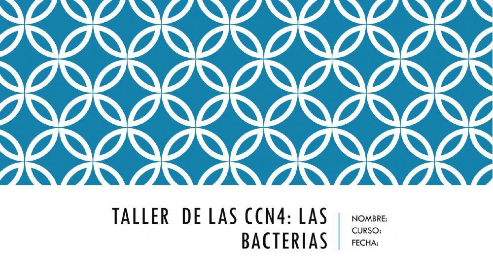 Las bacterias
