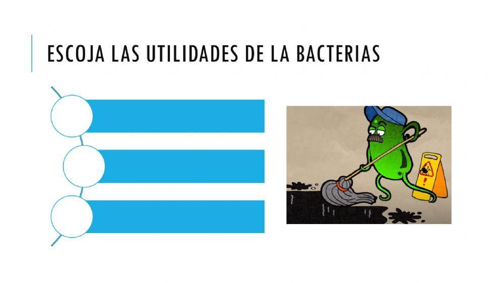 Las bacterias