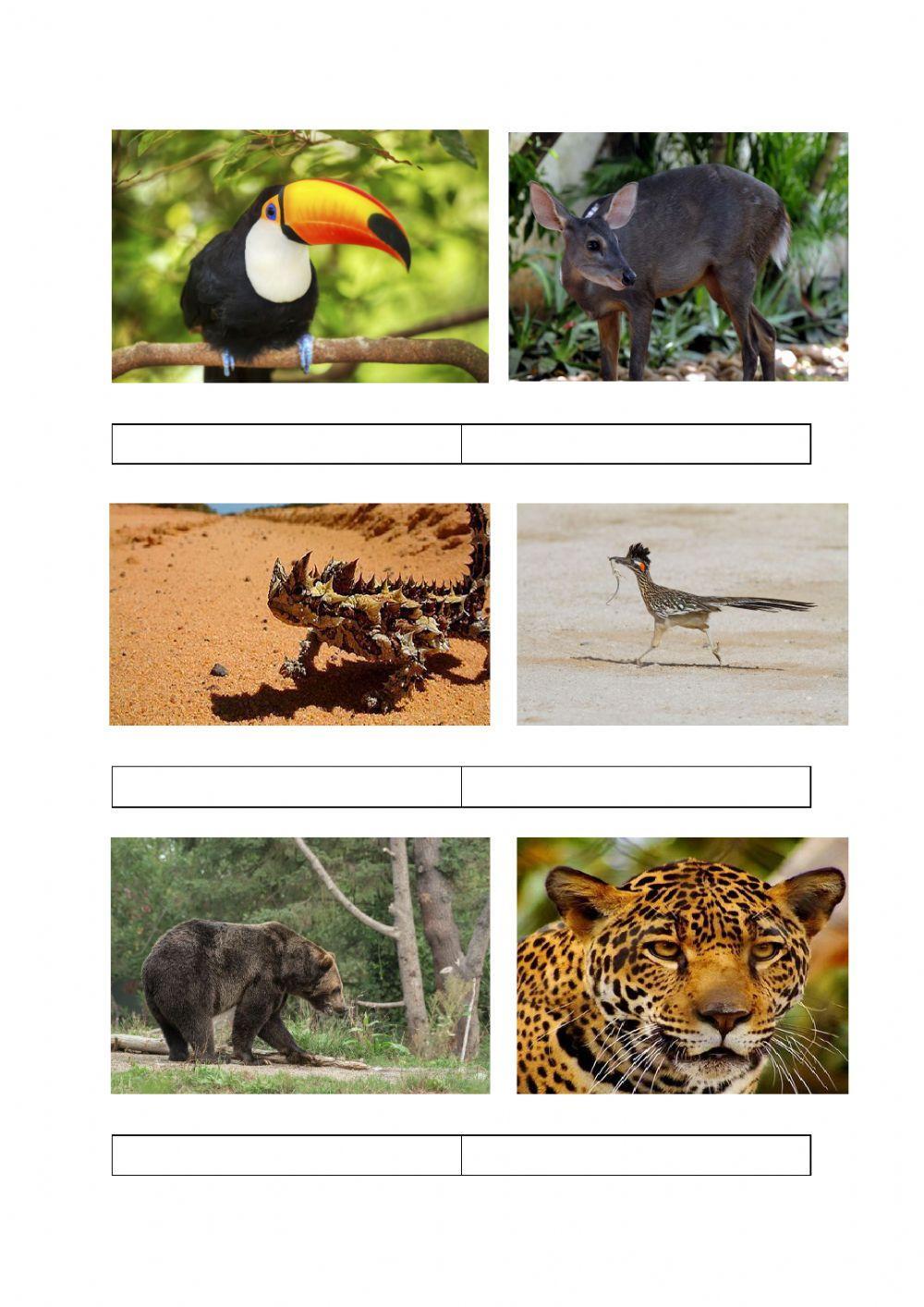 Los ecosistemas terrestres