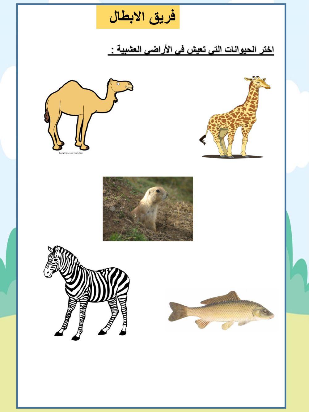 الاراضي العشبية اختر