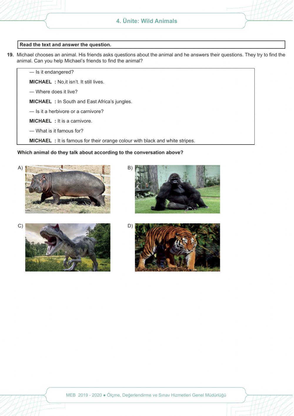 7.4 Wild Animals MEB Skill Based Test part 2