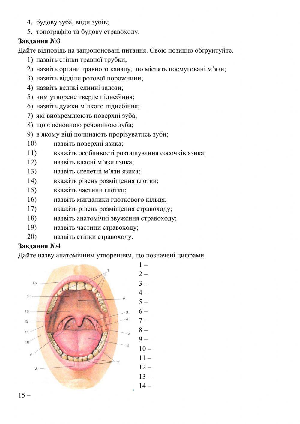 Анатомія травного каналу