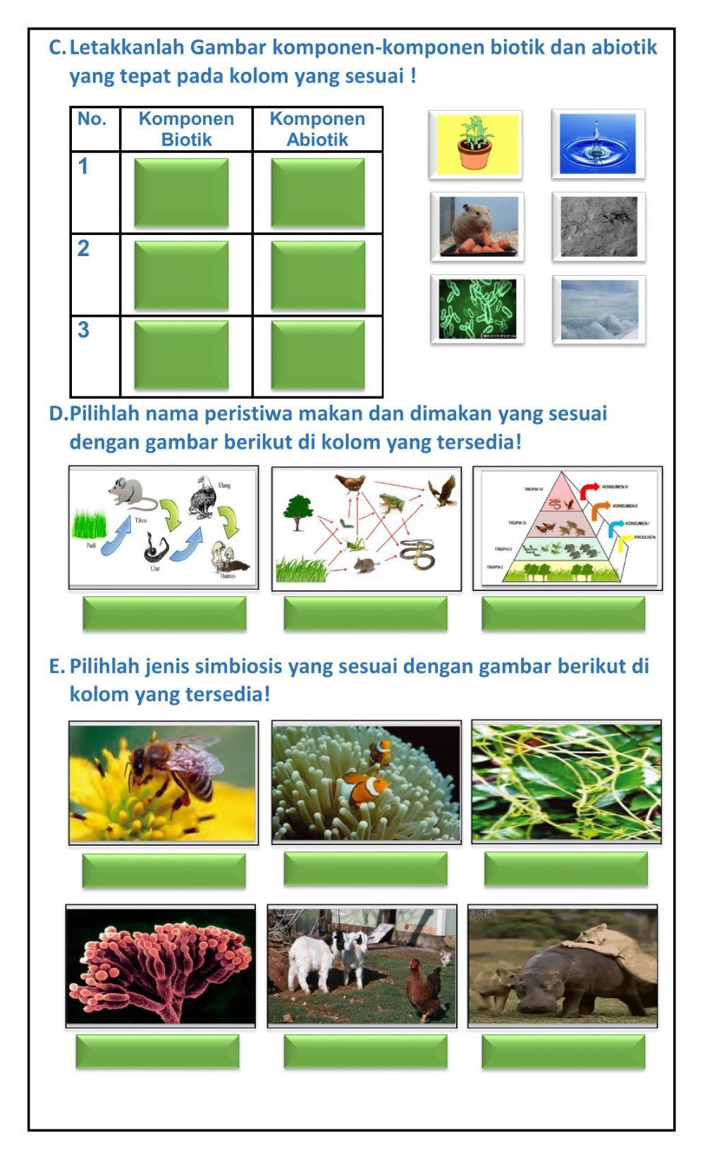 LKPD 4 S-2 Kls 7 - B.Ida