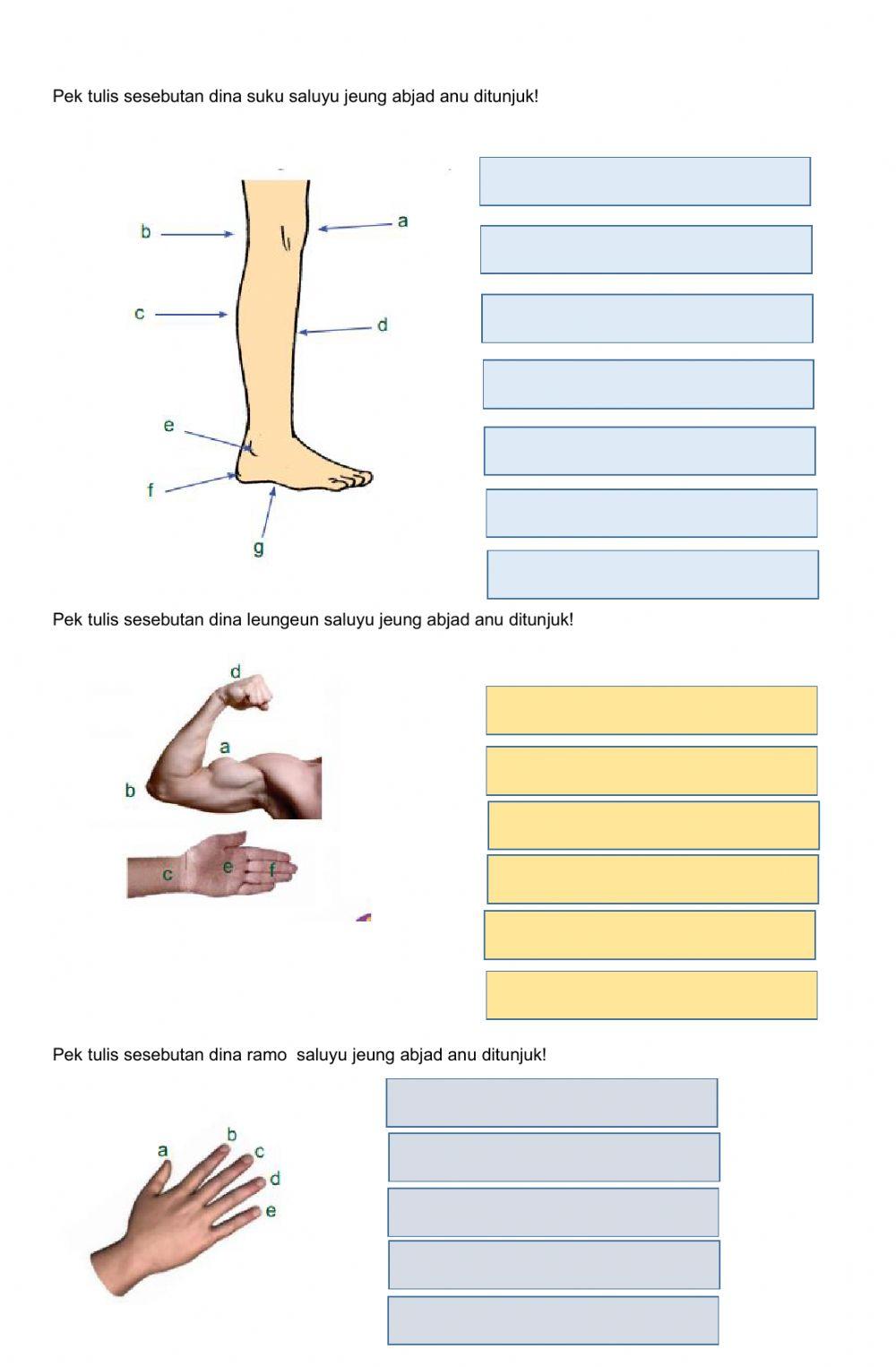 Ulangan sunda tema 5