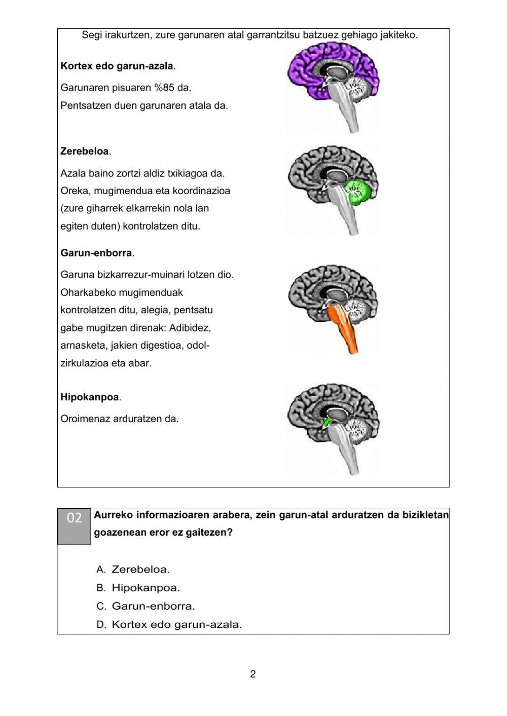 Zientziarako konpetentzia III