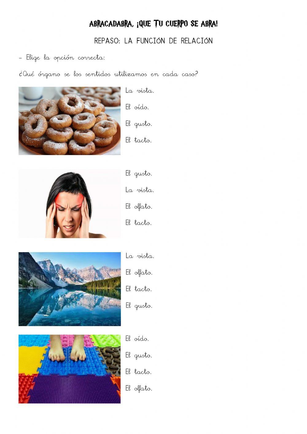 Órganos de los sentidos