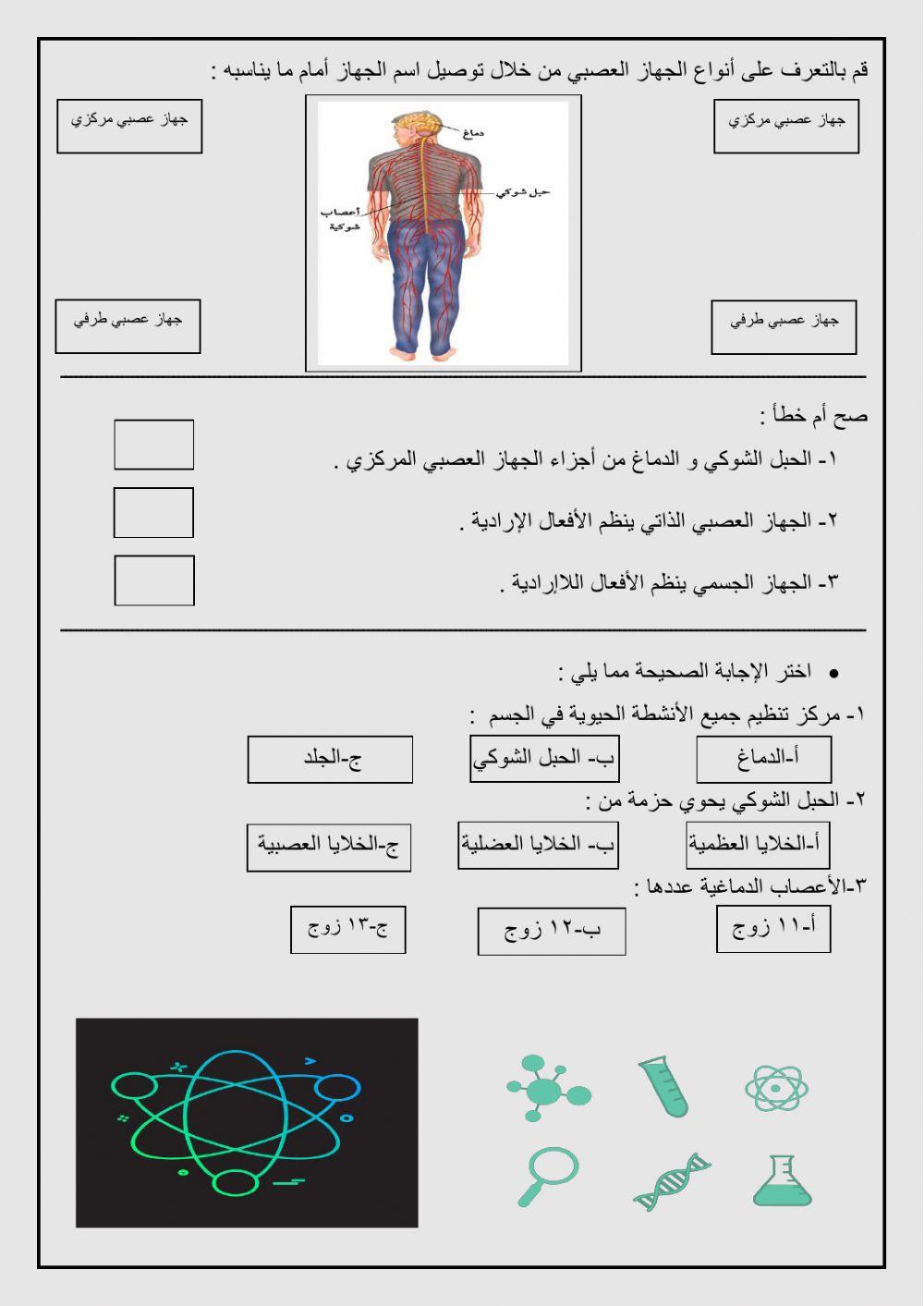 اقسام الجهاز العصبي