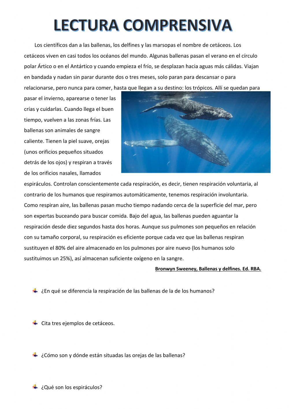 Las ballenas